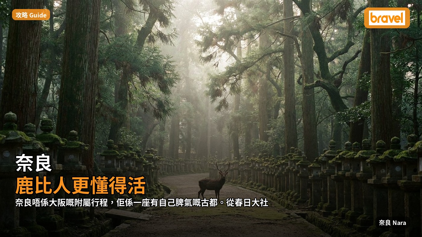 奈良:鹿比人更懂得活